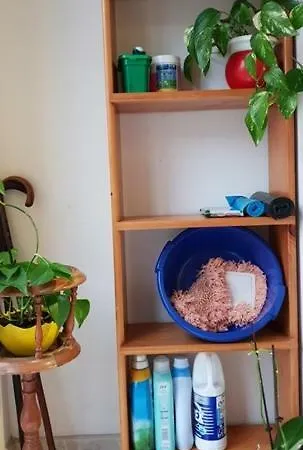 Apartment Visitar Aviles