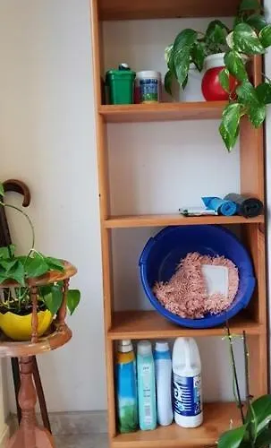 Apartman Visitar Avilés